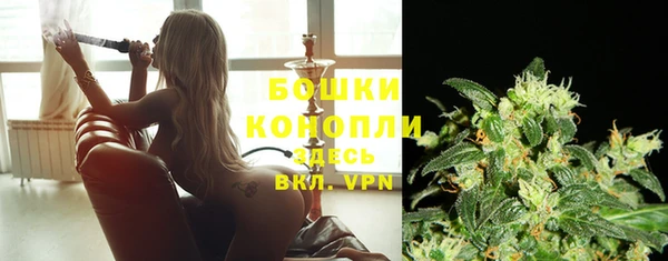 твердый Покачи