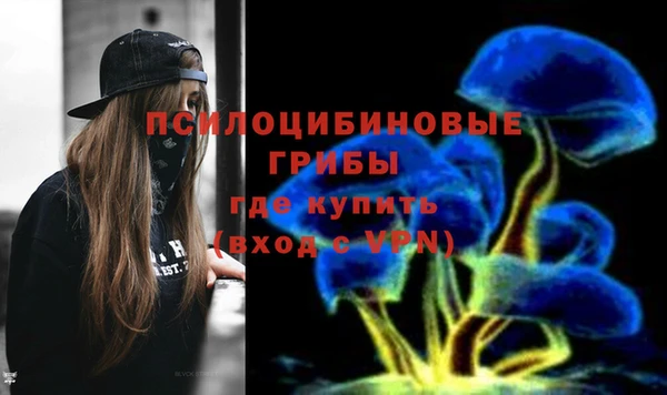 тгк Покров