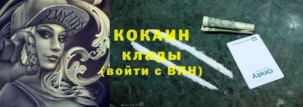 твердый Покачи