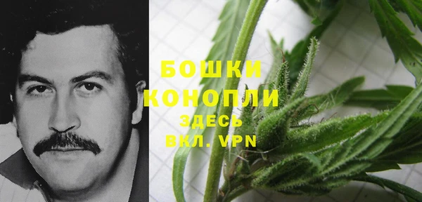 не бодяженный Заводоуковск