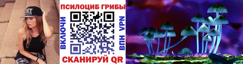 блэк спрут ссылки  Зея  Псилоцибиновые грибы ЛСД 